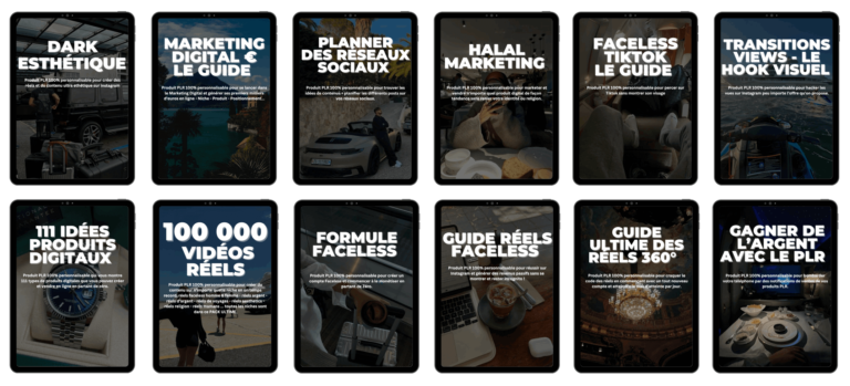 produits digitaux en PLRsDSA